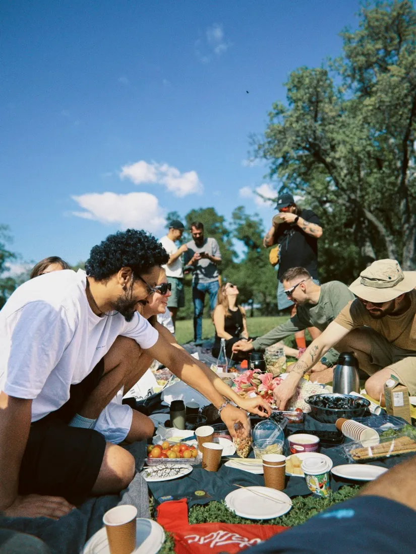 Friends toasting at a picnic
